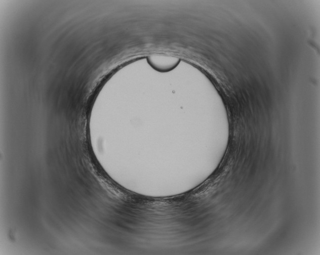 X0000096461507200802211113