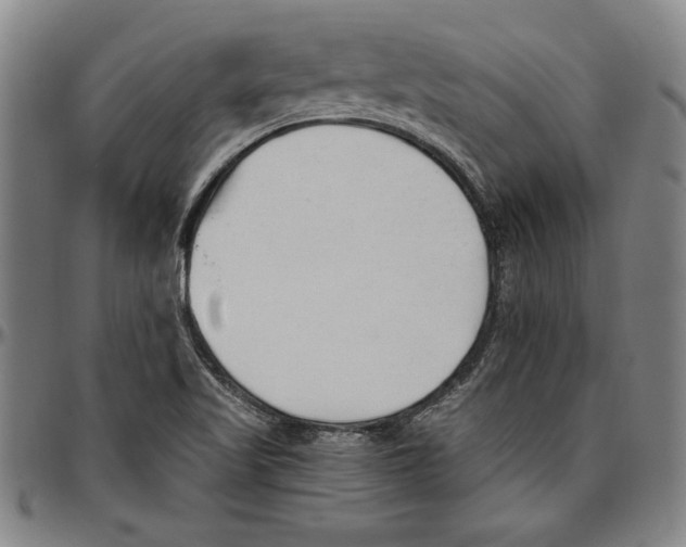 X0000096461509200802211113
