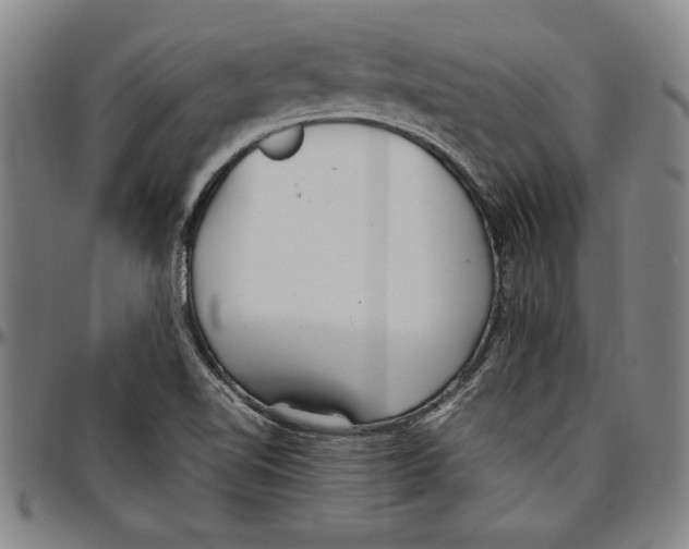 X0000096461510200802211113