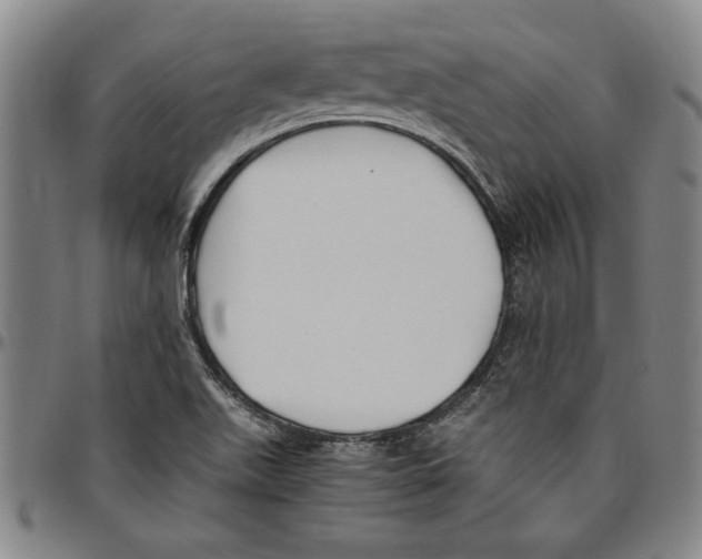 X0000096461511200802211113