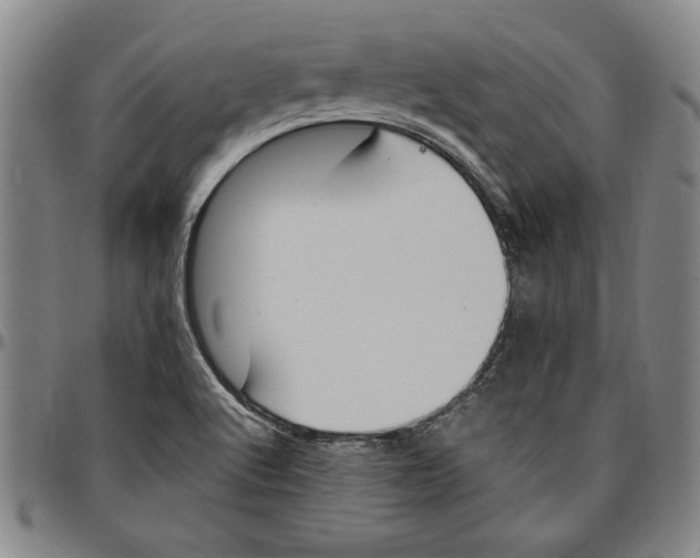 X0000096461512200802211113