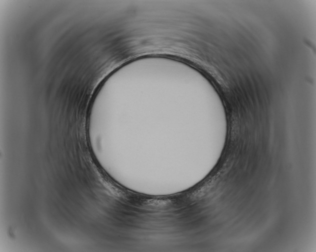 X0000096461513200802211113