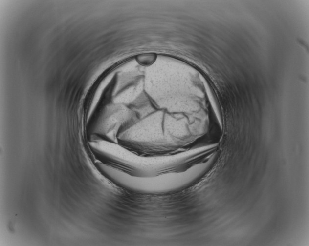 X0000096461515200802211113