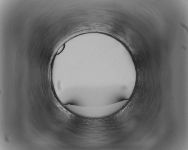 X0000096461516200802211113