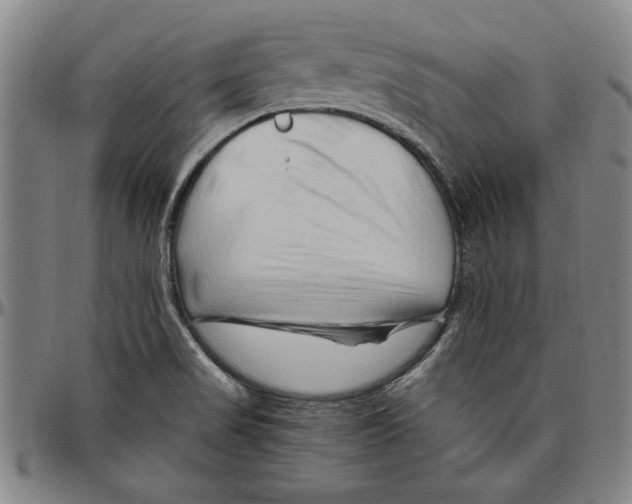 X0000096461517200802211113