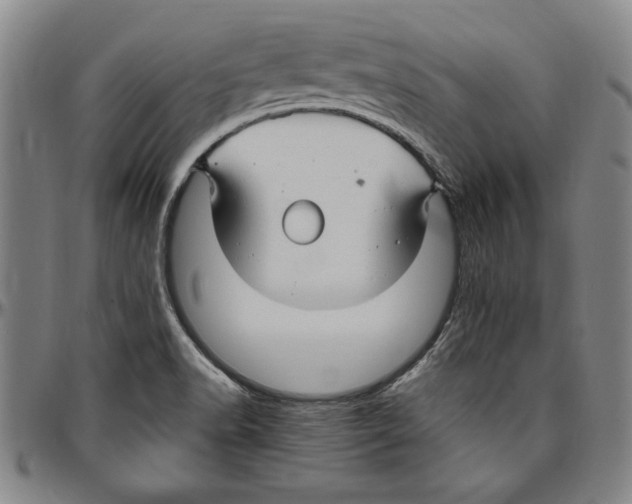 X0000096461518200802211113