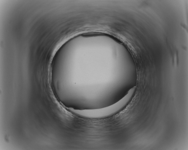 X0000096461520200802211113