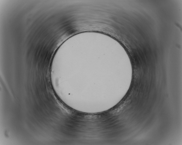 X0000096461521200802211113