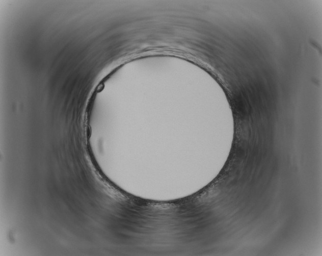 X0000096461522200802211113