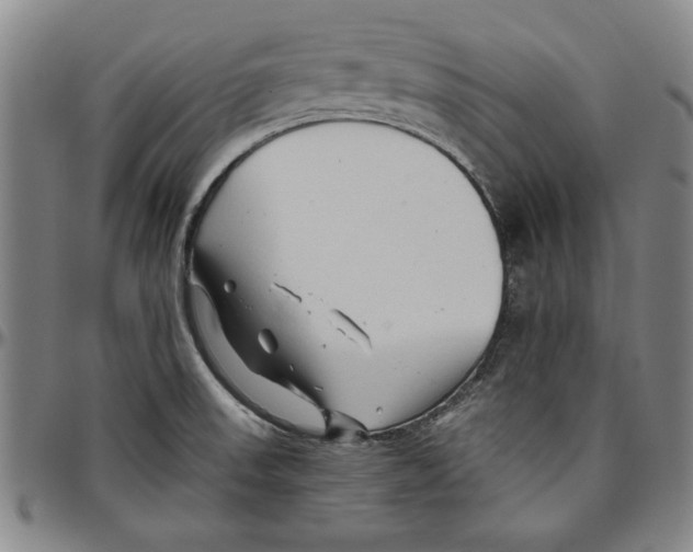 X0000096461523200802211113