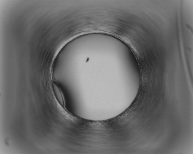 X0000096461524200802211113