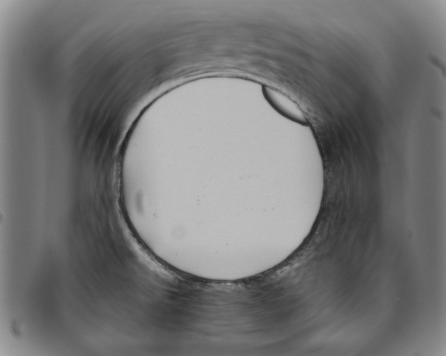 X0000096461526200802211113