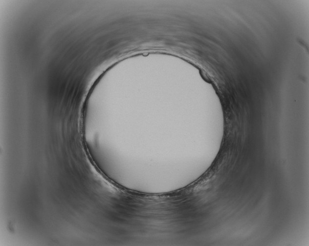 X0000096461527200802211113