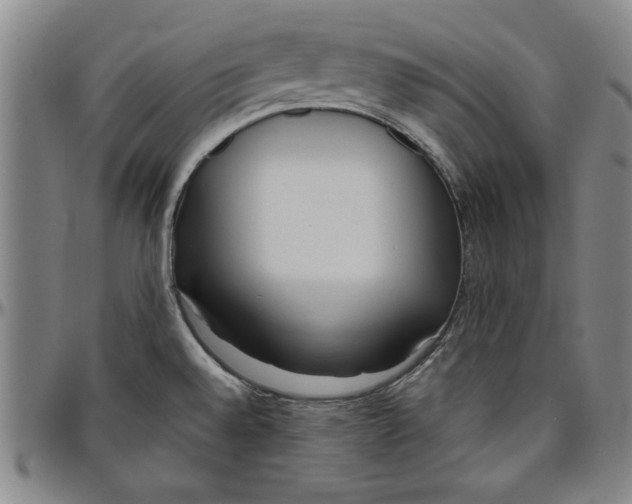 X0000096461528200802211113