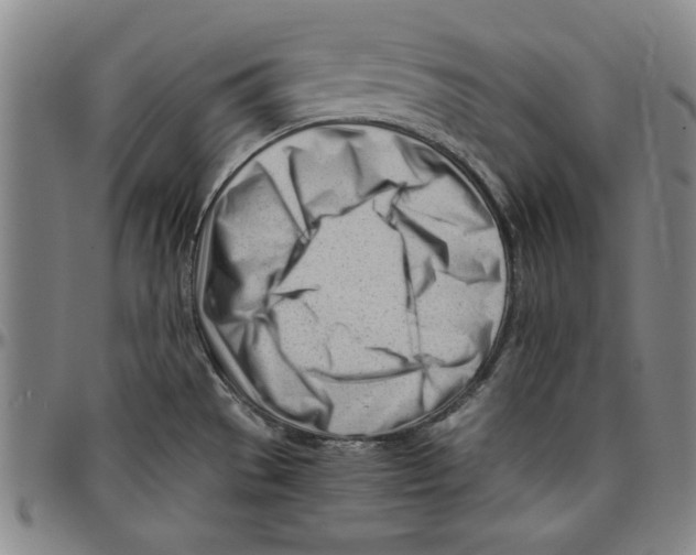 X0000096461529200802211113