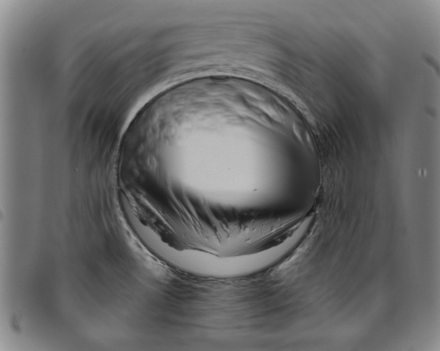 X0000096461530200802211113
