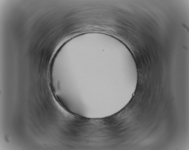 X0000096461531200802211113