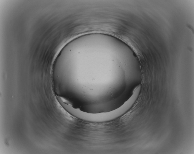 X0000096461532200802211113