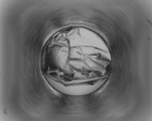 X0000096461533200802211113