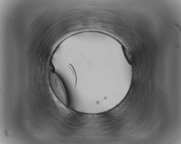 X0000096461534200802211113