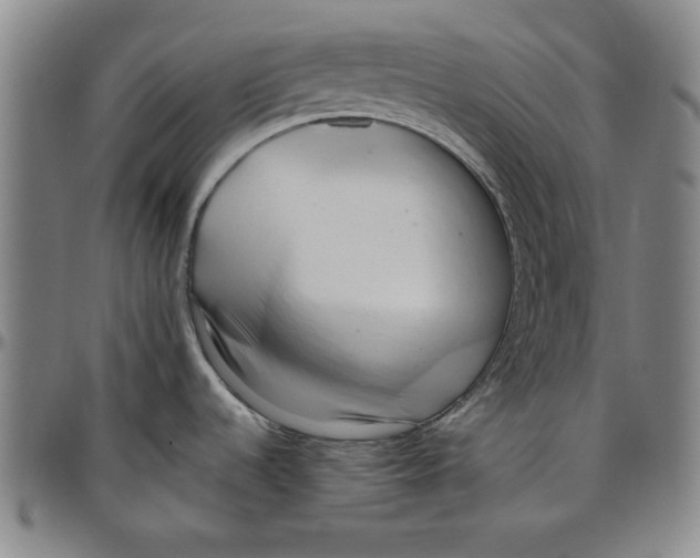 X0000096461536200802211114