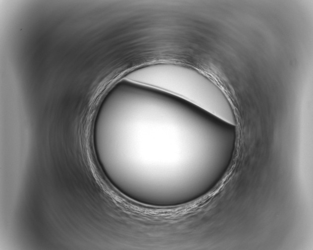 X0000096470001200801241147