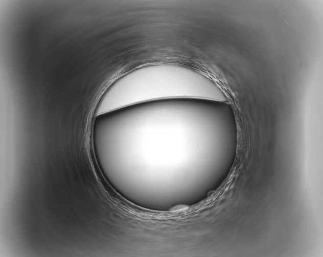X0000096470003200801241147