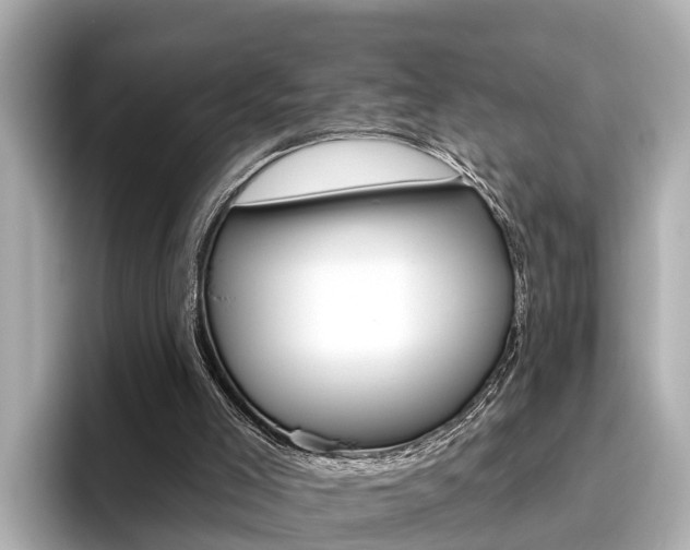 X0000096470005200801241147