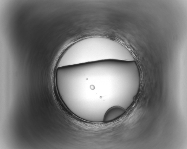 X0000096470006200801241147