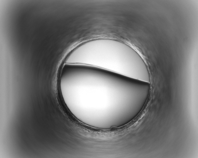 X0000096470008200801241147