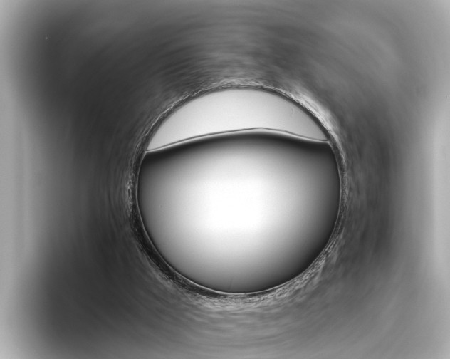 X0000096470009200801241147