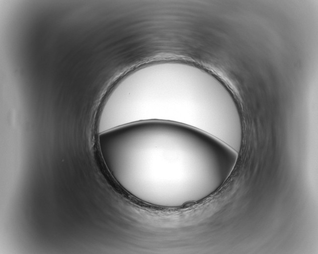 X0000096470015200801241147