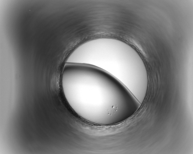 X0000096470023200801241147