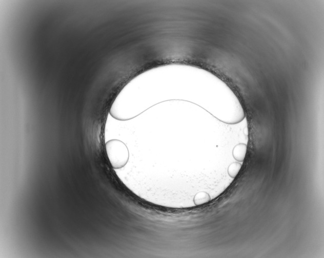 X0000096470024200801241147