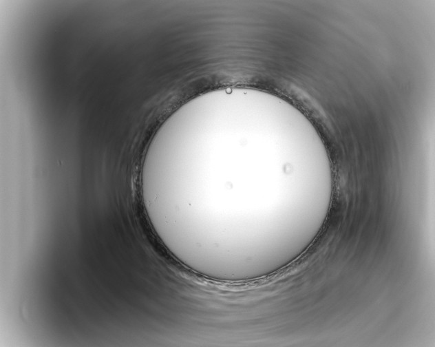 X0000096470026200801241147
