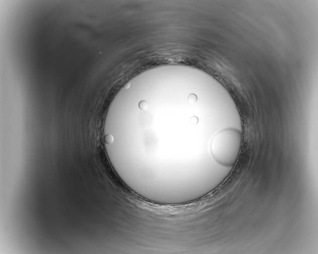 X0000096470030200801241147