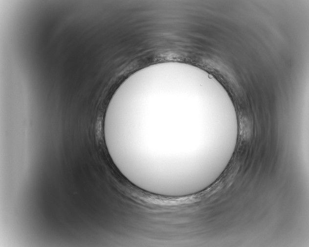 X0000096470036200801241147