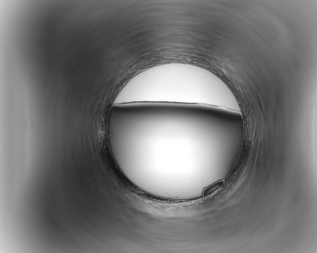 X0000096470040200801241147