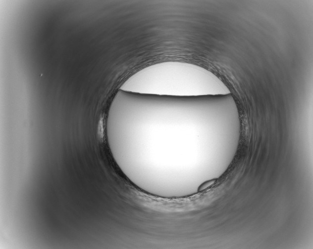 X0000096470042200801241147