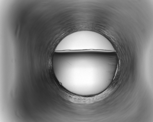 X0000096470048200801241147