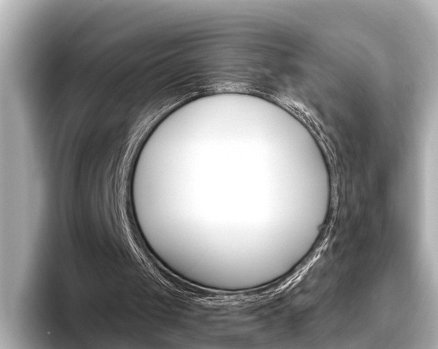 X0000096470049200801241146