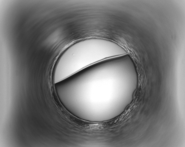 X0000096470050200801241146