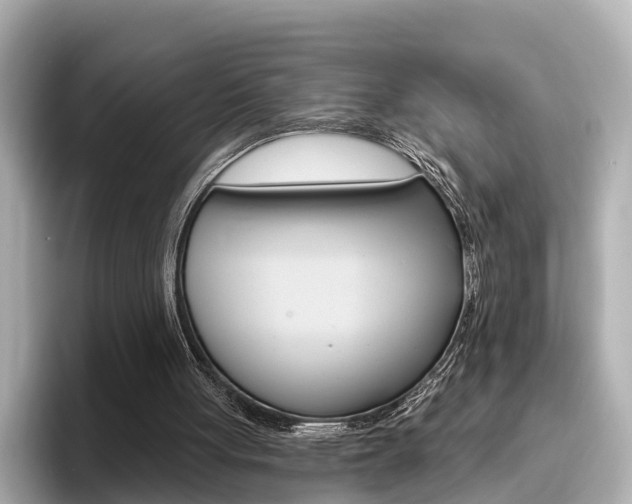 X0000096470051200801241146
