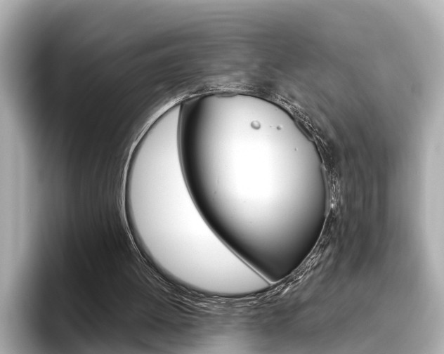 X0000096470052200801241146
