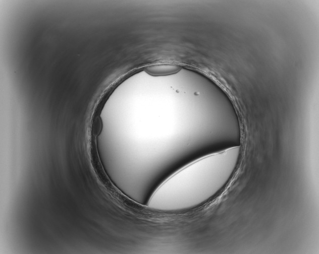 X0000096470055200801241146