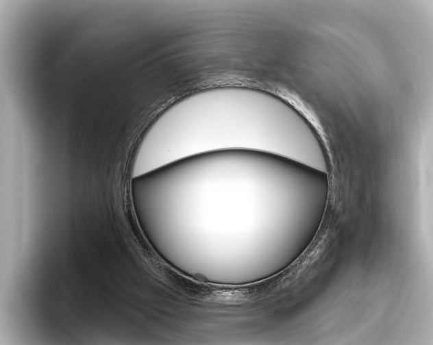 X0000096470057200801241146