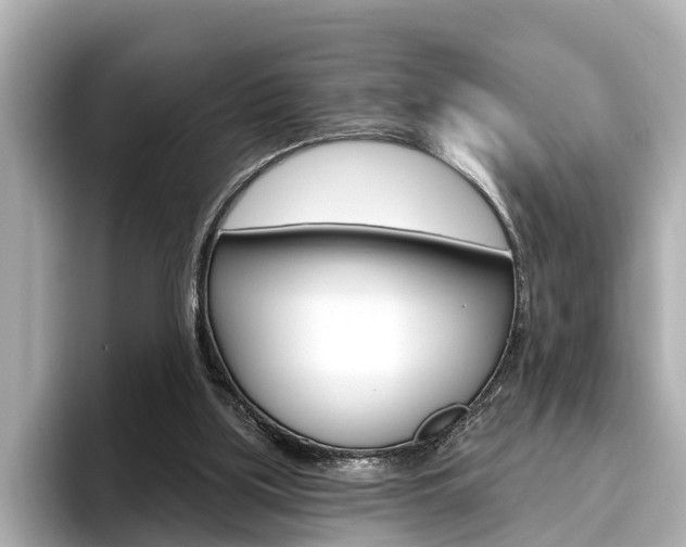 X0000096470059200801241146