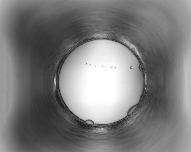 X0000096470061200801241146