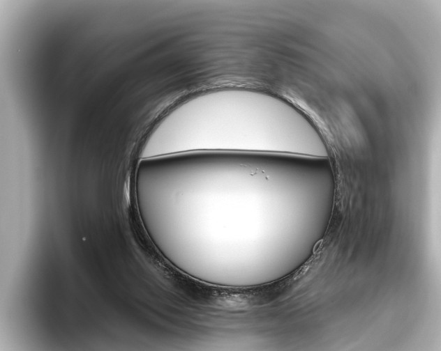 X0000096470062200801241146