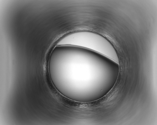 X0000096470064200801241146